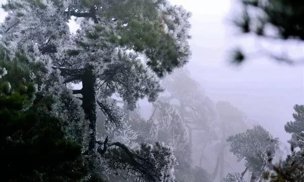 燃烧吧大脑免广告最新版