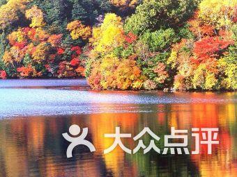黑龙江博物馆有一镇馆之宝，一拿出来就怪叫，曾被誉为中华第一龙