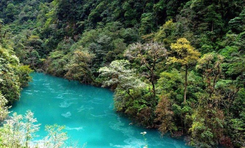 来自西班牙客户和牙买加客户对我们水培设备的使用反馈