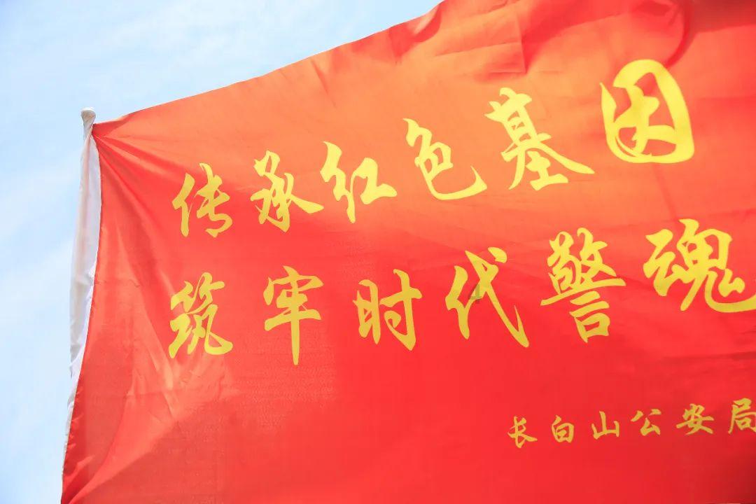全民烧脑3去广告版