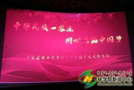 小猫钓鱼正版下载中文版