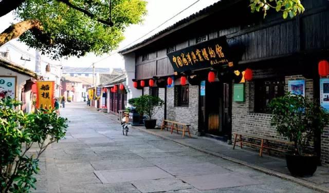 寻找奈良树花