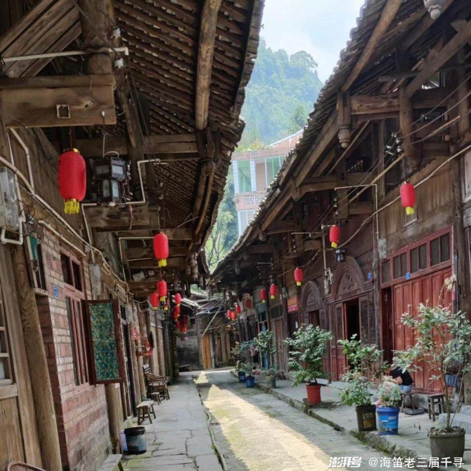 Tarzan长时间霸占韩服第一,却被宁王嘲讽,他连队伍都找不到