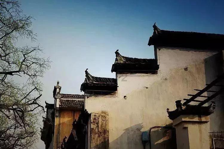 小猫钓鱼正版下载中文版
