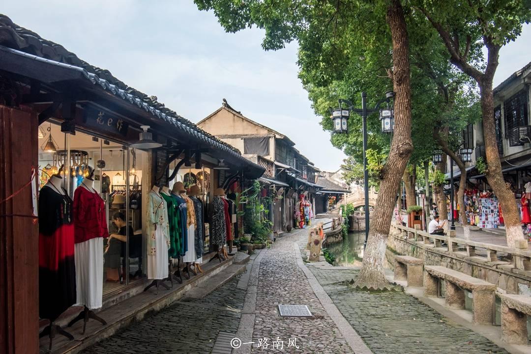 共商人才选拔之路——高校与高中协同育人研讨会在临清开幕