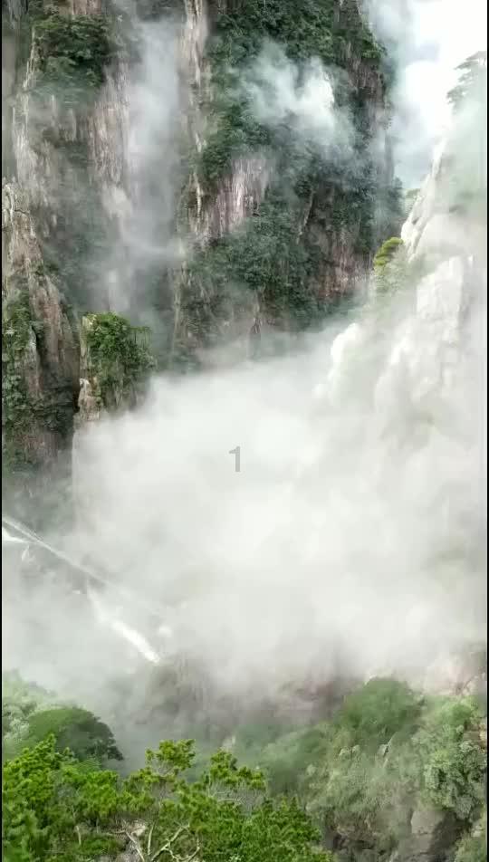 燃烧吧大脑装瓶子游戏