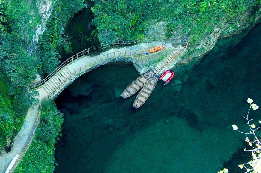 春雨直播app